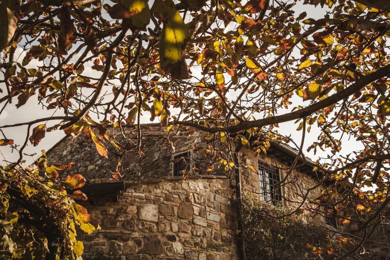 La Veronica Exclusive Chianti Resort Greve in Chianti Exterior foto